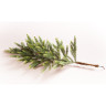 Триумф ель TRIUMPH TREE, Королевская премиум, 100% литая, 305 см, зеленая 72136